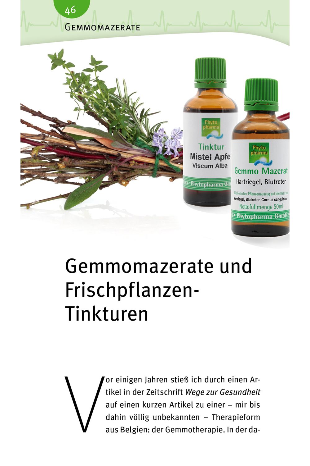 Natürlich gesund - Bluthochdruck