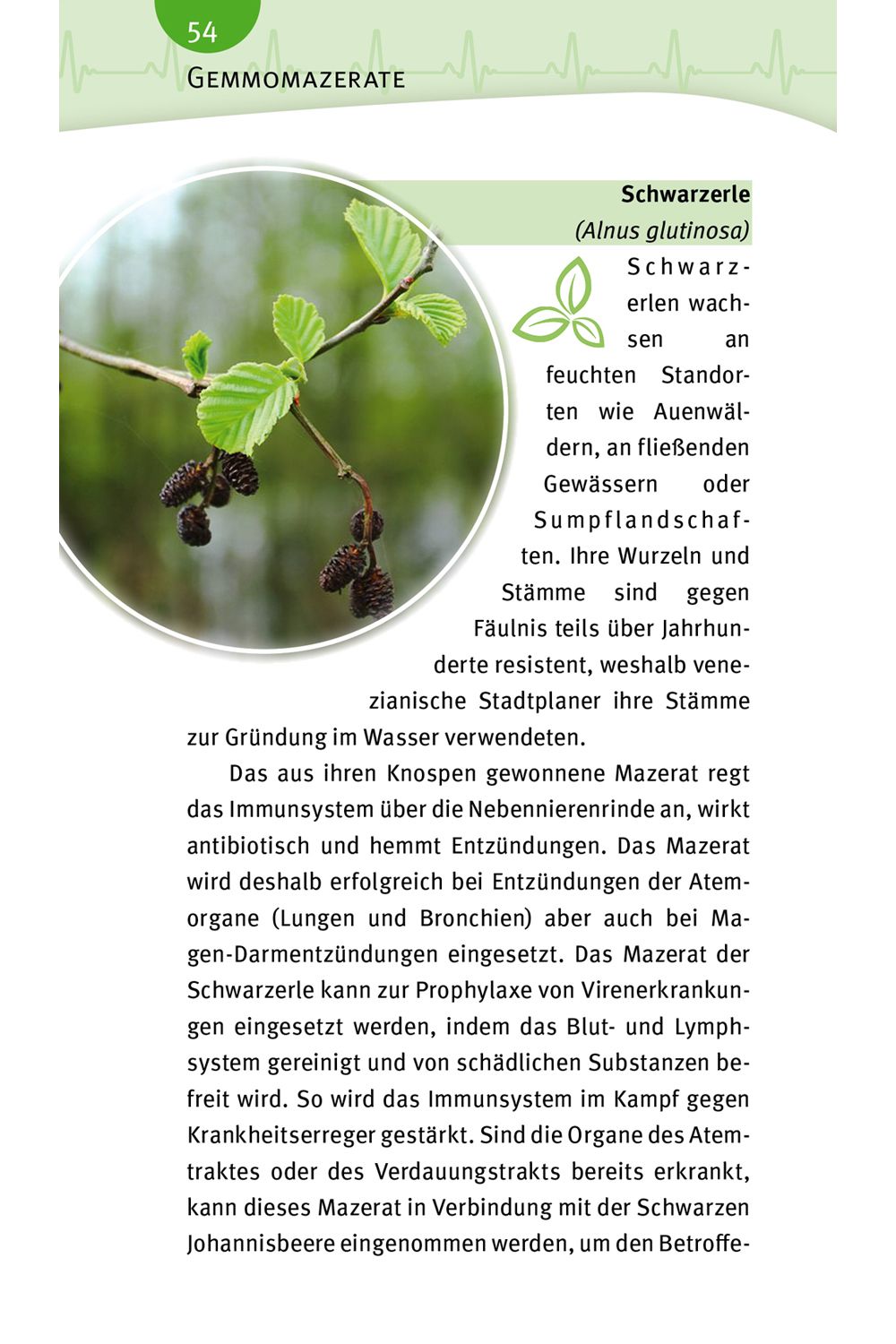 Natürlich gesund - Bluthochdruck